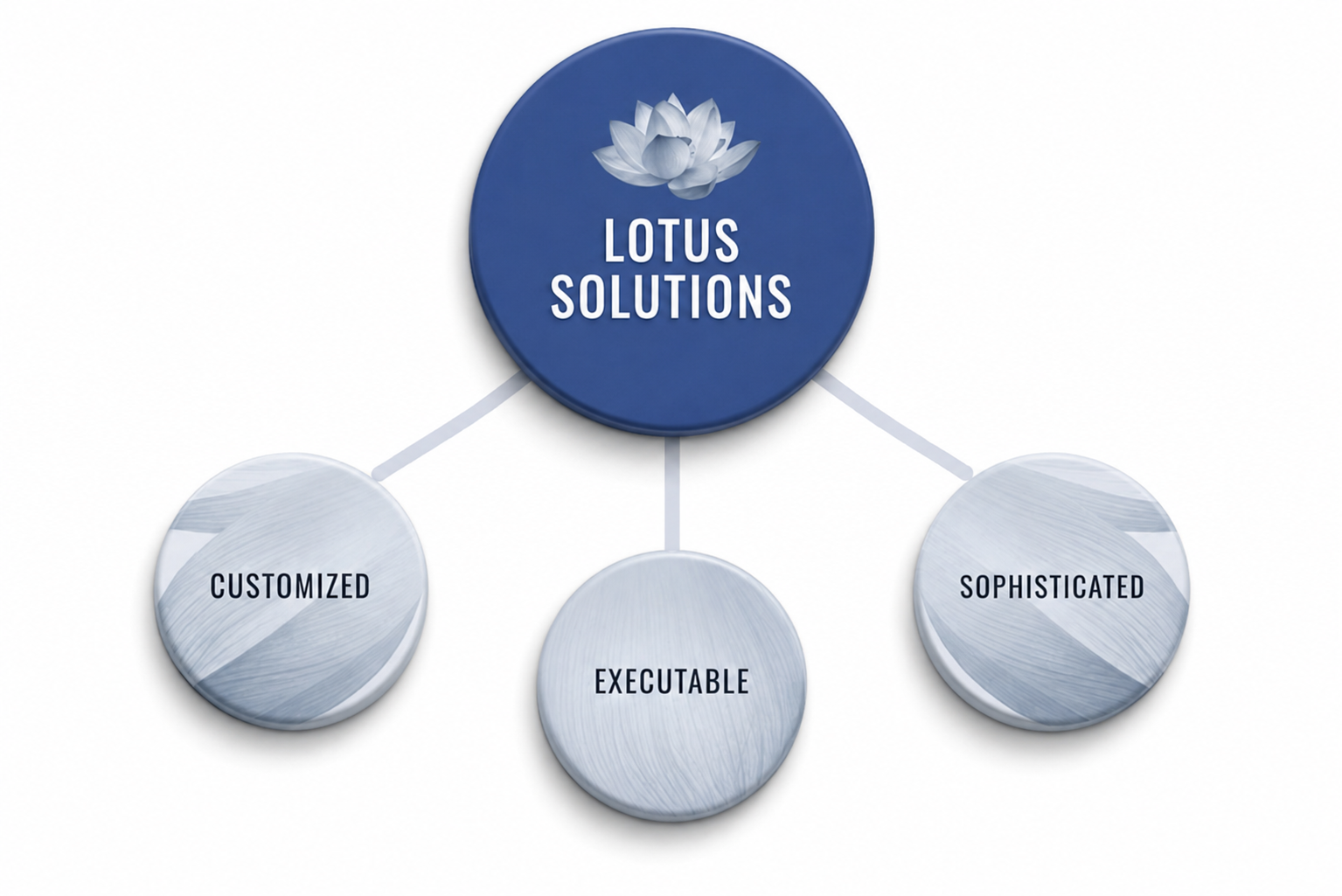 Lotus Solutions — Customized, Executable, Sophisticated