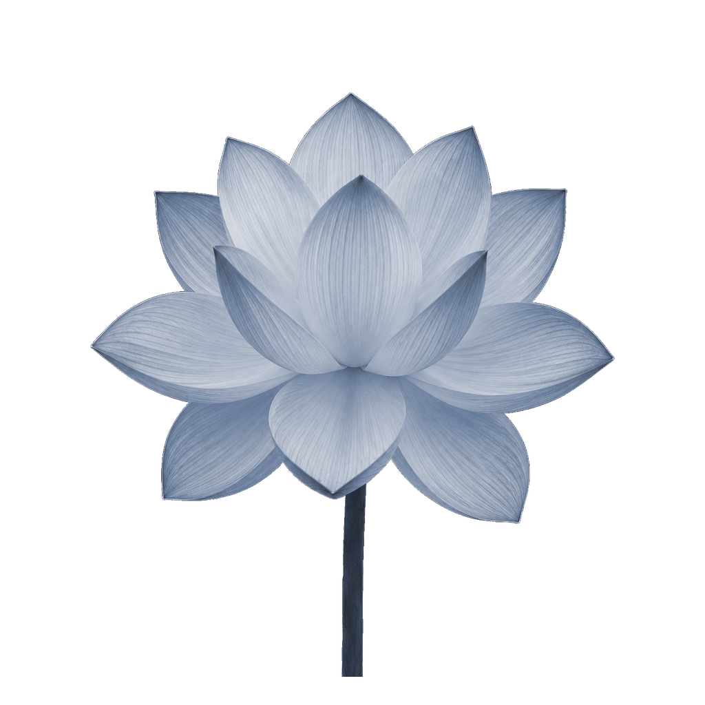 Lotus flower